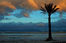 morning landscape.jpg